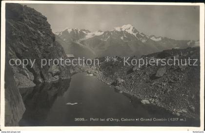 11731689 Orny Cossonay Petit Lac d Orny Cabane et Grand Combin