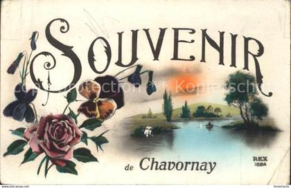 12339992 Chavornay Orbe Blumen