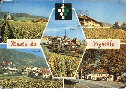 12493810 Nyon VD Route du Vignoble Mont sur Rolle Luins Vinzel Gilly Fechy