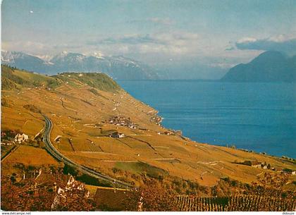 Suisse - VD Vaud - Coteau de Lavaux - Vue aérienne - CPM - Carte Neuve - Voir Scans Recto-Verso