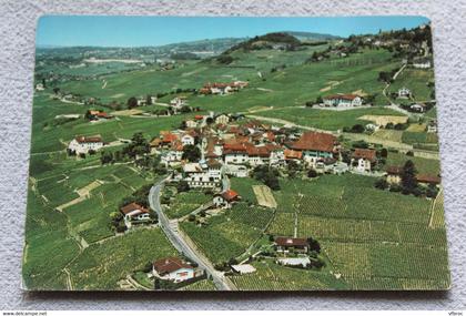 Cpm, Grandvaux, vignobles de Lavaux, Suisse