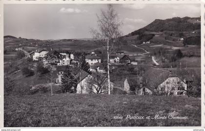 S13960 cpsm Suisse - Puidoux et Monts Cheseaux