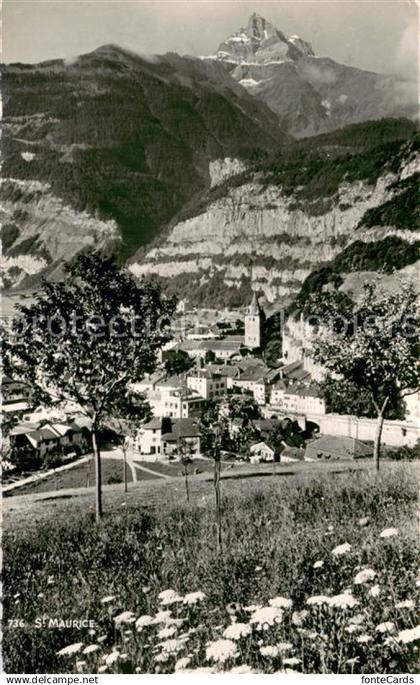 13759595 St Maurice  Valais VS Panorama