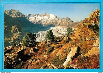 Suisse - VS Valais - Aletschgletscher - CPM - Carte Neuve - Voir Scans Recto-Verso