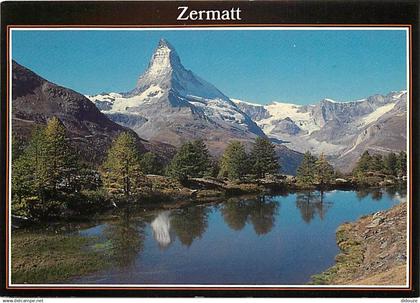 Suisse - VS Valais - Zermatt - Grindjisee - CPM - Carte Neuve - Voir Scans Recto-Verso