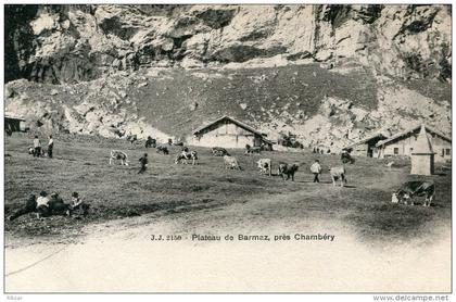 BARMAZ(SUISSE) CHAMPERY(VACHE)