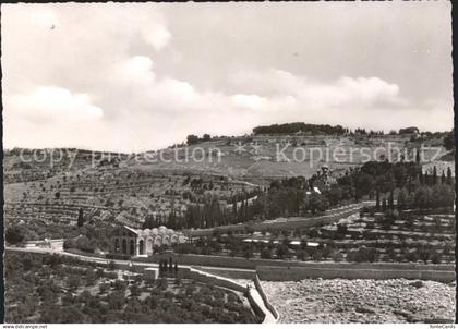 11655062 Cham ZG Oelberg mit Gethsemane und Basilika Cham ZG