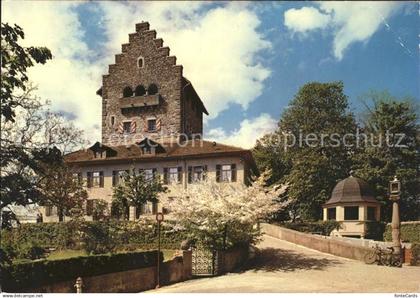 11852046 Uster ZH Schloss Uster