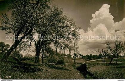 13709431 Schlieren Dietikon ZH Panorama