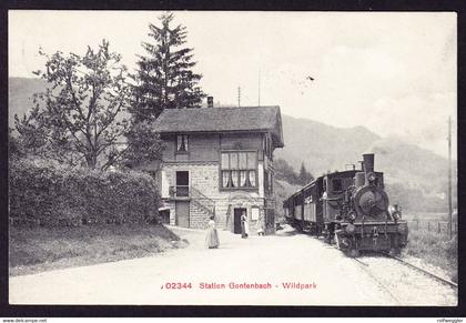 1910 gelaufene AK: Bahnhof Gontenbach Wildpark mit Dampflok. Mit Stabstempel LANGNAU (Zürich)