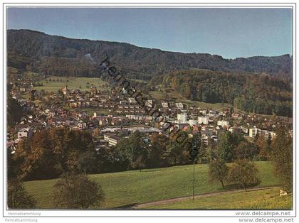 Langnau am Albis - AK Grossformat - Verlag Rud. Suter Oberrieden