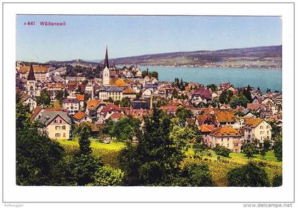 AK ZH Wädenswil ges. 21.7.1920  Foto Photoglob