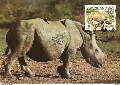 1987 - SWAZILAND - White Rhino - Rhinoceros blanc