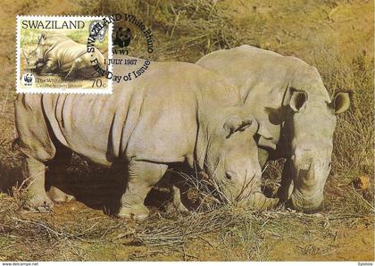 1987 - SWAZILAND - White Rhino - Rhinoceros blanc