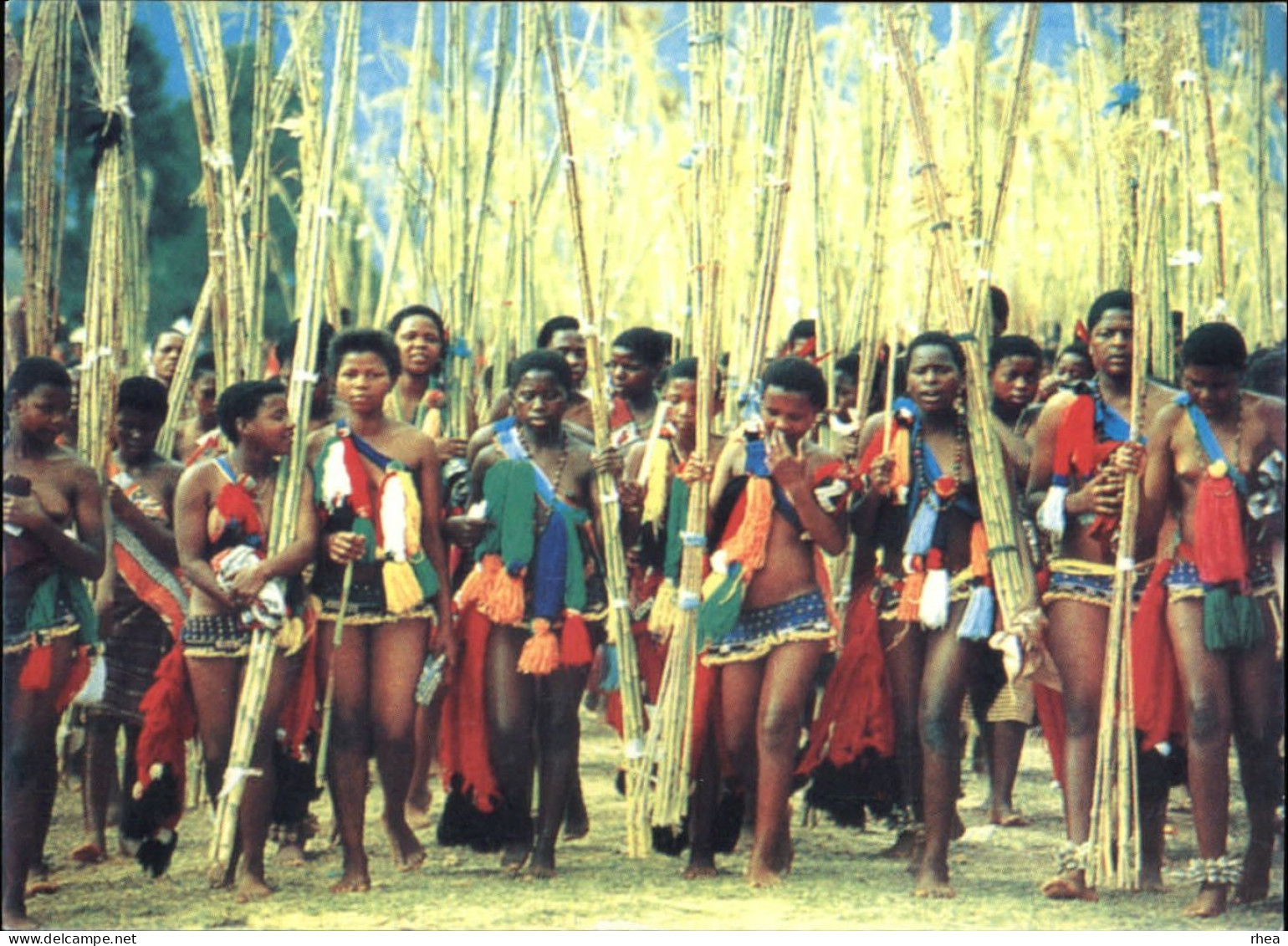 SWAZILAND - Reed Dance