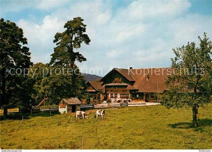 13210206 Menziken Wirtshus Trolerhof Kuehe