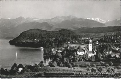 10792504 Spiez BE Spiez Schloss Blueemlisalp * Spiez