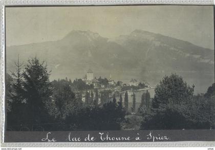 Thoune - Thun : Le lac de Thoune a Spiez   old photo 14 x 10.5 cm ( see scan for detail )