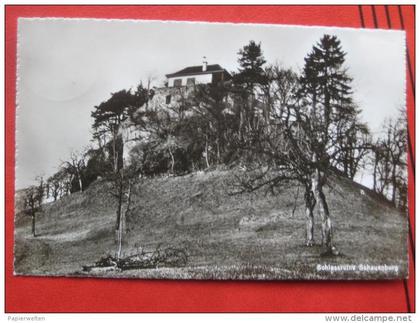 Frenkendorf (BL) - Schlossruine Neu-Schauenburg