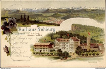 Lithographie Läufelfingen Kanton Basel Land, Kurhaus Frohburg