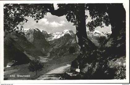 10815245 Braunwald GL Braunwald  *