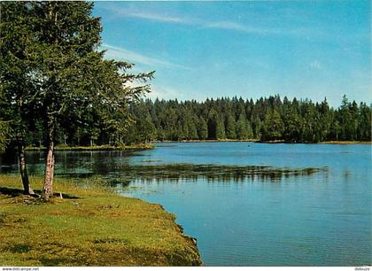 Suisse - JU Jura - Etang de la Gruère - CPM - Carte Neuve - Voir Scans Recto-Verso