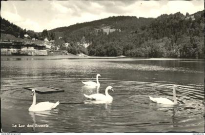 10823704 Les Brenets Les Brenets Schwan x Les Brenets