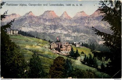 Kurhaus alpina Gamperdon und Tannenboden - Flums