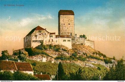 13735943 Sargans SG Schloss Sargans