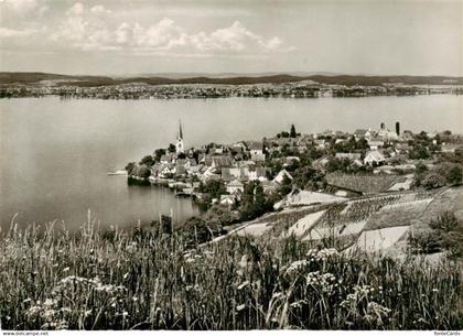 13875677 Berlingen Untersee mit Insel Reichenau Berlingen Untersee