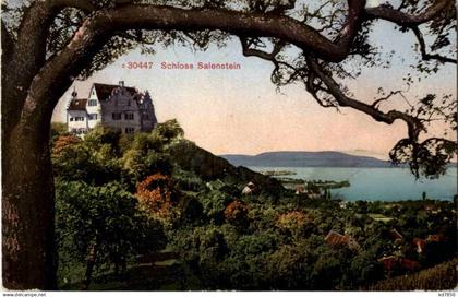 Schloss Salenstein