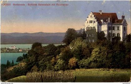 Schloss Salenstein