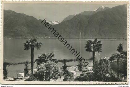 Magadino - Hotel Suisse - Familie Paganetti-Mathys - Foto-AK gel. 1957