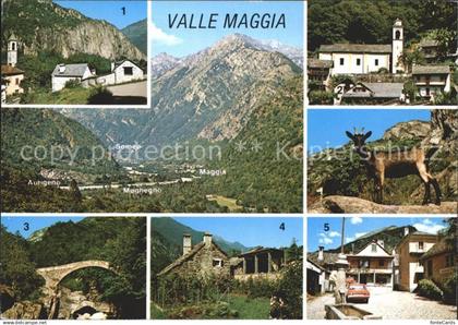 11888544 Valle Maggia Avegno Rivero Ponte-Romana Roncchini Maggia Maggiatal