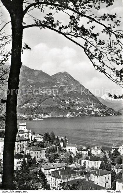 13193045 Lugano Lago di Lugano Monte Bre Lugano Lago di Lugano