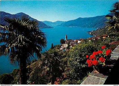 Suisse - TI Tessin - Lago Maggiore Ronco s. Ascona - CPM - Carte Neuve - Voir Scans Recto-Verso