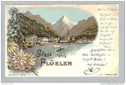 AK UR Flüelen 1899-08-07 Litho H.Schlumpf #81