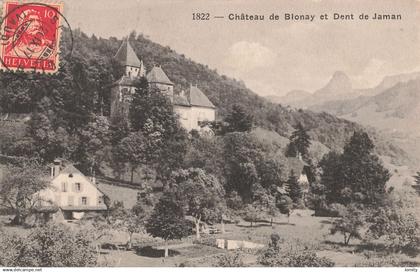 Suisse chateau de Blonay et dent de Jaman CPA