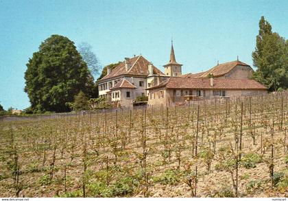 Etoy belle vue du Village le Château l'Eglise vignes vignoble