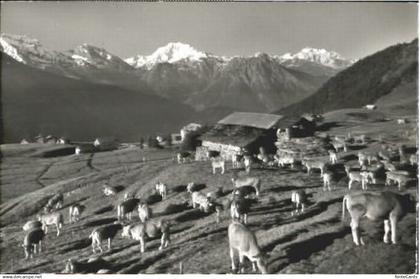 10565444 Riederalp Riederalp  o 1966