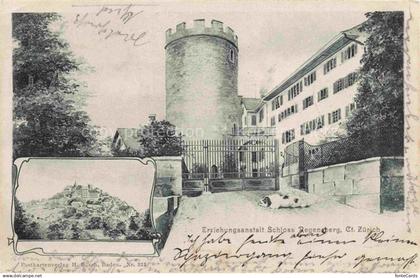 14024943 Regensberg Dielsdorf ZH Erziehungsanstalt Schloss Regensberg