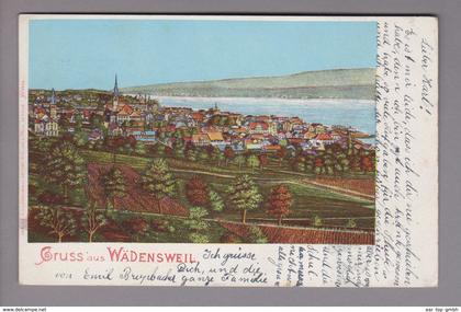 AK CH ZH Wädenswil (Wädensweil) 1900-11-19 Litho H.Guggenheim #4248