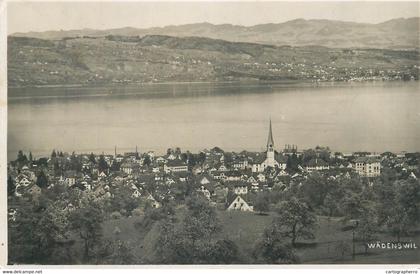 Wädenswil panorama