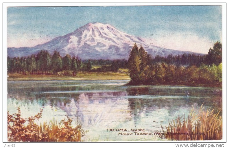 Tacoma Washington, Mount Tacoma (now Rainier) Tuck #2687, c1900s Vintage Postcard