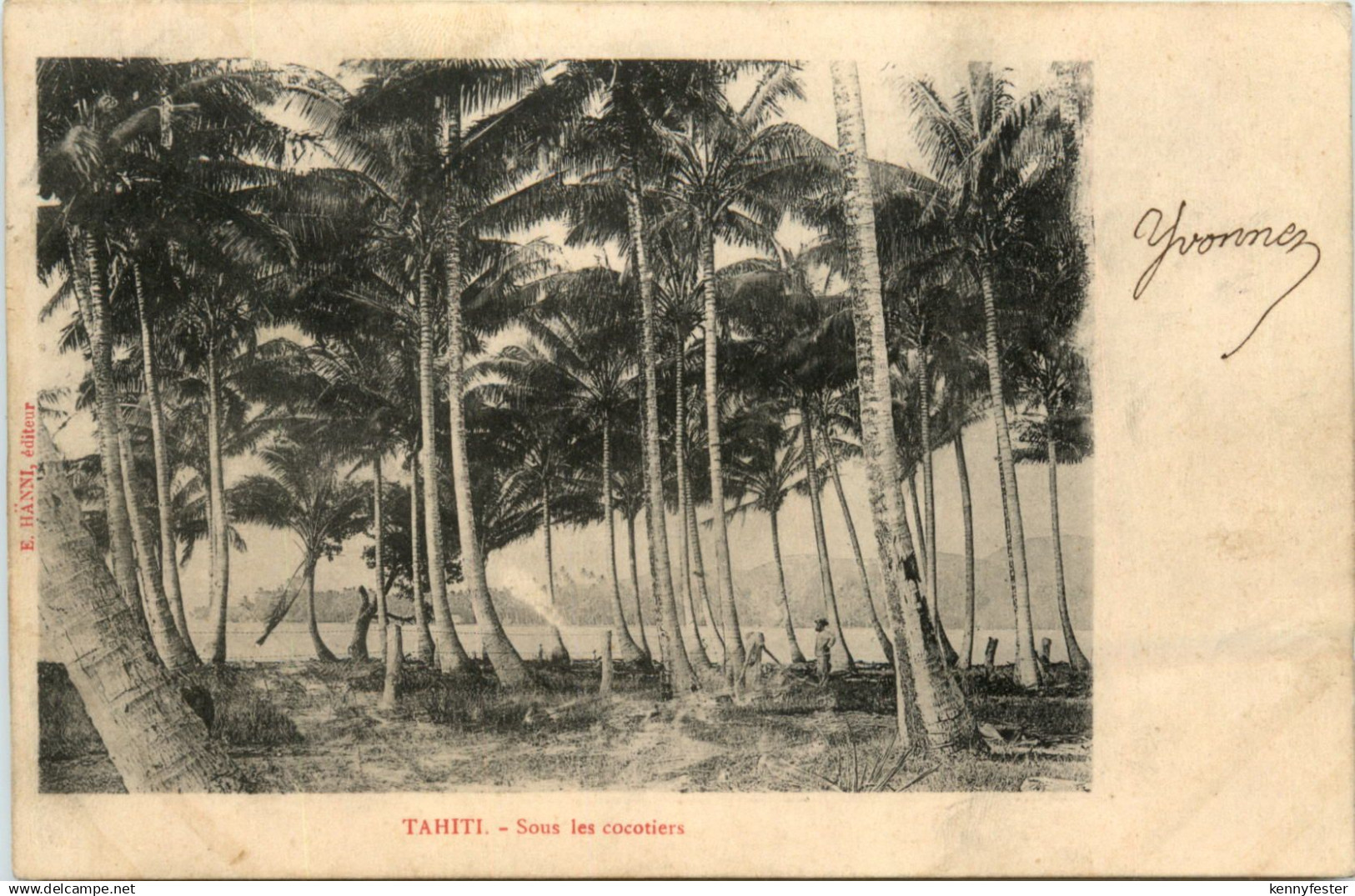 Tahiti - Sous les cocotiers