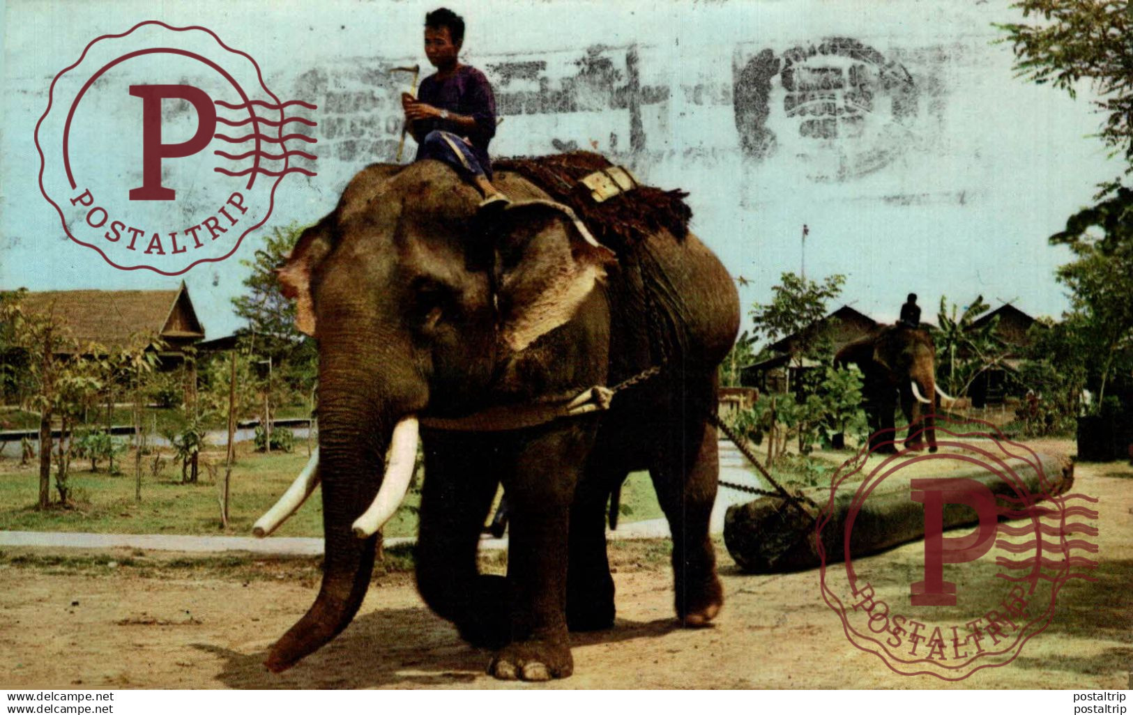 TAILANDIA. THAI ELEPHANT PULLING THE TEAK LOG