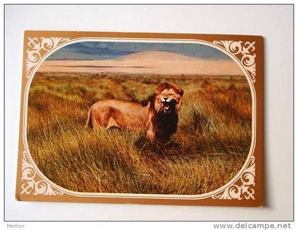 Tanzania -Lion    cca 1970´s   VF   D32683