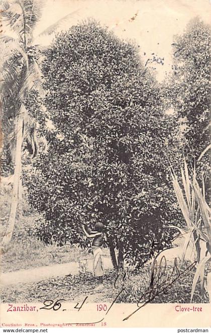 Tanzania - ZANZIBAR - Clove tree - Publ. Coutinho Bros. 18