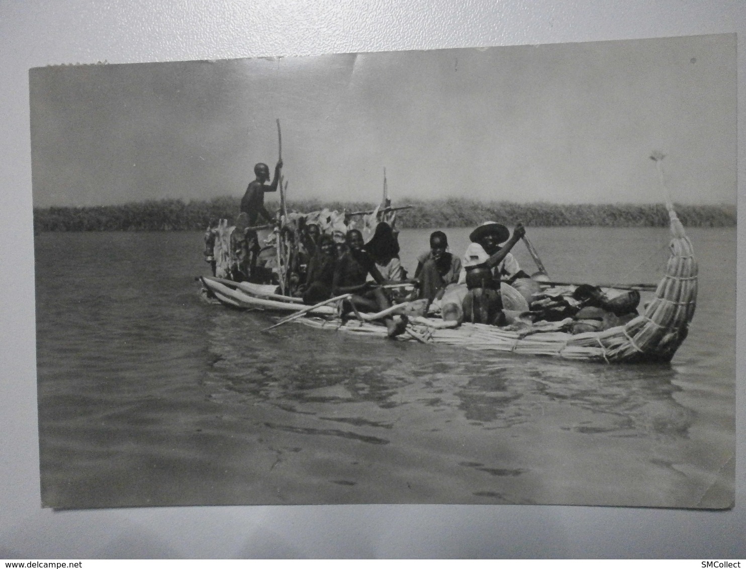 Tchad. Lac Tchad, le kadeï, pirogue en papyrus (2932)