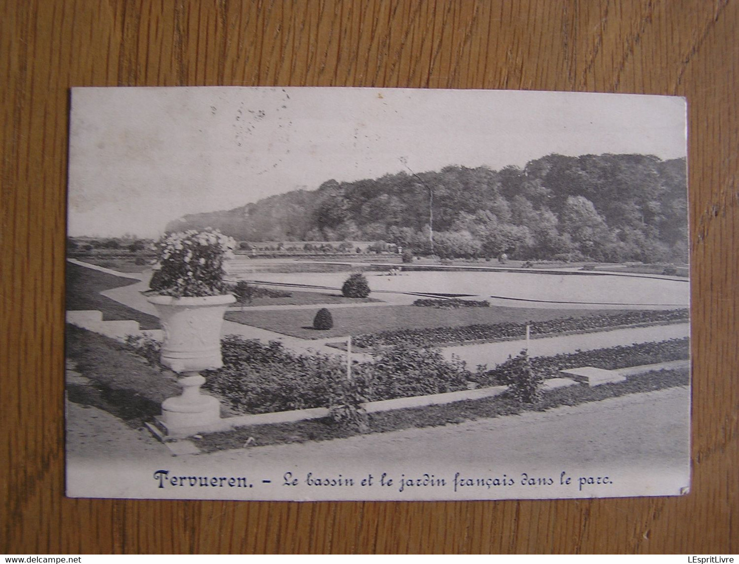 TERVUEREN TERVUREN Le Bassin et le Jardin Parc Brabant Flamand Vlaams Brabant België Belgique Carte Postale Post Card